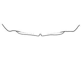   Anthidium utahense  female, diagram showing the dorsal view of the sixth tergite (T6), diagram from Gonzalez and Griswold 2013 
